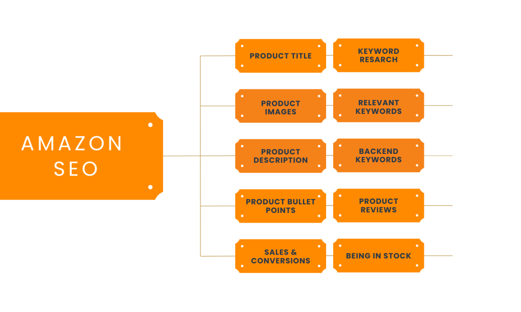 How Amazon SEO (Search Engine Optimization) Works